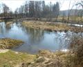 Bild: mad
Im Zuge des Brückenneubaus in Schwarzhofen soll die Schwarzach wieder ökologisch umgebaut und aufgewertet werden.