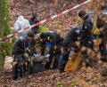 Bild: Peter Kneffel/dpa/Archivbild
Poizisten suchen ein Gebiet im Wald ab, an dem zuvor menschliche Knochen gefunden worden sind.