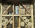 Bild: jml
Das 2004 erstellte Insektenhotel am östlichen Arm des Naturerlebniswegs Klingenbachtal wird fleißig zur Eiablage genutzt. Jetzt steht hier und auf der gesamten Wandertrasse eine Totalerneuerung an. Bis Ende Mai sind alle Arbeiten erledigt, hofft Bürgermeister List.