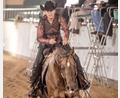 Bild: Tom Hautmann/exb
Beim Osterturnier stehen für die Westernreiter 34 Prüfungen auf dem Programm.