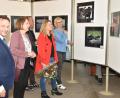Bild: exb
Oberbürgermeister Jens Meyer, Landtagsabgeordnete Annette Karl, Alt- OB Kurt Seggewiß, "Freie-Fotografen"-Präsidentin Zaneta Weidner und Stadträtin Sabine Zeidler (von links) sehen sich gemeinsam die Fotoschau im Foyer des Neuen Rathauses an.