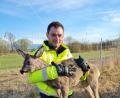 Bild: Verkehrspolizeiinspektion Freising/dpa
Ein Polizist hält ein Reh im Arm. Die Polizei hat auf der A92 ein Reh eingefangen und dazu die Autobahn in der Nähe von Freising gesperrt.