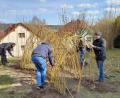 Bild: bey
Eltern und Team helfen beim Bau des Weiden-Tipis zusammen