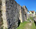 Bild: Wilhelm Amann
An mehreren Stellen, wie hier unterhalb der Sackwebergasse, sind die Stadt- und die Zwingermauer einsturzgefährdet. Rund 1,2 Millionen Euro hat die Stadt für ein Instandhaltungsprogramm veranschlagt.