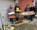 Bild: gz
Kurz vor dem Ende der Messfeier bereiteten sich die Mitglieder des Frauenbundes mit einer Vielfalt an Palmprodukten auf die Verkaufsaktion vor.