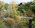 Bild: le
Das Veranstaltungszimmer des Obst- und Gartenbauvereins Floß und Umgebung: der Kreislehrgarten. Dort soll heuer wieder das Hollerküchlfest steigen.