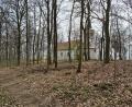 Bild: sne
Der Wald nördlich der Annabergkirche könnte Standort eines städtischen Urnenwaldfriedhofs werden. Nicht jeder ist überzeugt von der Notwendigkeit und des Standortes einer solchen Einrichtung.