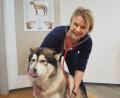 Bild: bl
Dem Alaskan Malamute "Lokum" werden die Hausbesuche bei den Pferden genauso fehlen wie seinem Frauchen, der Tierärztin Annemarie Kraus. Sie gibt ihre Praxis auf für einen Job als Veterinärin bei der Bundeswehr.