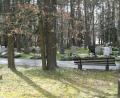 Bild: Gabi Schönberger
Ein Café auf dem Waldfriedhof in Weiden? Redakteurin Kathrin Moch jedenfalls kann sich das gut vorstellen.