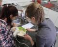 Bild: Kunz
Die ukrainischen Kinder bereiten in der Ferienaktion Pudding und Pizza zu.