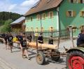 Bild: Kölbl/exb
In einem feierlichen Umzug durch das Dorf wird der Maibaum traditionell zu dem Platz gebracht, wo er aufgestellt werden soll, wie hier 2018.