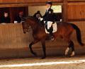 Bild: Reinhard Kreuzer
Das Dressurturnier des Reiterclubs Schwedentisch fand bei den Reitsportlern in der Region großen Anklang. Das Bild zeigt Lisa-Marie Kick von der RSG Weiden.