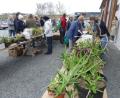Bild: rn
Mit seiner traditionellen Pflanzenbörse spricht der Obst- und Gartenbauverein die Hobbygärtner an.