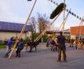 Bild: fvo
Die Albersriether Männer stellen den Maibaum auf.