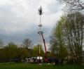 Bild: bey
Die Katholische Landjugend stellte einen zweiten Maibaum.
