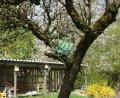 Bild: ils
Einen grünen Stuhl hoben Walperer in Obersdorf in einem Apfelbaum.