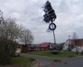 Bild: ak
Der Maibaum in Kulmain.