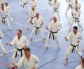 Bild: dob
Vohenstraußer Karateka während einer Kata.