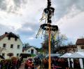 Bild: Thomas Völkl/exb
Gelbe und blaue Bänder flattern am Maibaum in Groschlattengrün.