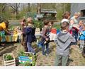 Bild: gru
Ein geschäftiges Treiben herrscht bei der Pflanzaktion des Gartenbauvereins Edelsfeld.