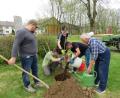 Bild: adj
Fünf Obstbäume wurden im Ortsteil Püllersreuth gepflanzt