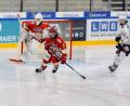 Archivbild: Reinhard Elsner
Alessandro Schmidbauer (Mitte) wechselt aus dem Nachwuchs des EV Landshut zu den Blue Devils Weiden,