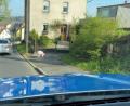 Bild: Polizei Sulzbach-Rosenberg
Was war denn da los in der Bayreuther Straße? Die Polizei und der Besitzer eines entlaufenen Hausschweins mussten das Tier gemeinsam einfangen. Es war am Freitagmorgen ausgebüxt und sorgte bei vielen Autofahrern für Heiterkeit.