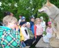 Bild: tss
Respektvoll stehen die Buben und Mädchen im evangelischen Kindergarten St. Markus vor der ausgestopften Wölfin.