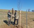 Bild: rn
Georg Karl (rechts) und Markus Stopfer pflanzten in der Apfelbacher Flur zirka 30 Obstbäume.