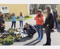 Bild: Monika Schneider/exb
Der Ortsverband von Bündnis 90/Die Grünen hat in Pechbrunn eine Pflanzentauschbörse organisiert.