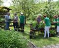 Bild: hcz
Hoch her ging es beim Pflanzentausch im Vereinsgarten des Obst- und Gartenbauvereins.