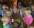 Bild: gi
Das Projekt „Vom Ei zum Huhn“ wurde mit den Kita-Kindern gestartet. Die Mädchen und Buben sind von den Küken begeistert.