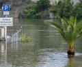 Bild: Sven Hoppe
Land unter in Passau: Geparkte Autos sind auf einer vom Hochwasser der Donau überschwemmten Uferstraße nicht zu sehen - wohl aber eine Palme.
