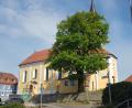 Bild: gi
Die 150 Jahre alte Friedenseiche auf dem Moosbacher Marktplatz gefällt den Statikern der Dorferneuerung nicht mehr. Sie wollen deren Beseitigung.