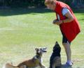 Bild: Sonja Zühlke/exb
Die Hundebesitzer waren mit ihren Tieren gekommen.