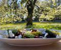 Bild: Cornelia Müller / Studio arch wild
Salat mal ganz anders, nämlich in diesem Fall mit Baumblüten und -nadeln und Giersch. Wer beim Grillen etwas Besonderes auftischen möchte, kann dies ganz leicht mit Wildpflanzen und -kräutern erreichen.