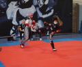 Bild: Rudi Brunnbauer/exb
Finja Deichler (rechts) vom Ausrichter FSKA im Kampf gegen Jule Greul vom Kickboxverein Ebern in Oberfranken.