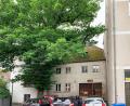 Bild: Gabi Schönberger
Das ehemalige Milchladl in der Scheibenstraße 9 hätte eine Sanierung und neue Nutzung verdient. Zumindest der Platz vor dem Haus ist als Parkplatz beliebt. Die Stadt sucht für das Gebäude und den angrenzenden Flurerturm (vom Baum verdeckt) einen Käufer.