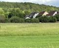 Bild: ige
Im künftigen Baugebiet Katzenberg soll die angrenzende Streuobstwiese unbedingt erhalten werden, fordern Grüne und Umweltschützer.