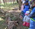 Bild: Evangelischer Kindergarten Tirschenreuth/exb
Die Kinder des evangelischen Kindergartens machten einen Ausflug in den Wald und bauten mit Naturmaterialien Häuser für Waldwichtel.