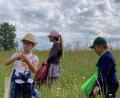 Bild: Grundschule Mähring/exb
Die Kinder der ersten Klasse haben sich im Rahmen des HSU-Unterrichts intensiv mit dem Thema „Wiese“ beschäftigt.