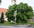 Bild: bnr
Auf der Grünfläche zwischen Rathaus und Marienkirche soll ein neuer Spielplatz entstehen.Der Bauausschuss gab dafür grünes Licht.