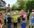 Bild: Kindergarten St. Rita/exb
Falkenberger Kindergartenkinder informierten sich und halfen am Kartoffelacker von Familie Siller.