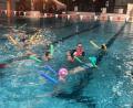 Bild: rbg
Die Nachfrage nach Kinderschwimmkursen ist enorm: Über 100 Mädchen und Jungen haben in der Hallenbadsaison 2021/22 die Angebote des Tirschenreuther Schwimm- Clubs nutzen können.