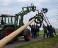 Bild: gi
Der Traktor hob den Maibaum an, um die Schwalben unter den Stamm zu bringen.