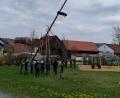 Bild: rfi
Maibaum in Kleischwand