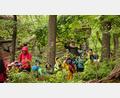 Bild: fks
Durch das Dickicht des Steinwalds führte der Wanderweg der Kindergartenkinder.