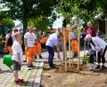 Bild: fvo
Baumpflanzaktion am Ortseingang von Lennesrieth