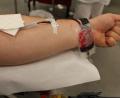 Bild: fks
Ein kleiner Piks in den Arm und 500 Milliliter Blut fließen in einen Konservenbeutel, um später an Verletzte Menschen weitergegeben zu werden.