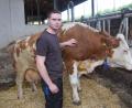 Bild: fz
Sein bestes Pferd im Stall: Die Kuh "Harfe". Sie diente Christian Kraus als Gesellenstück für einen auf Oberpfalzebene Topabschluss an der Landwirtschaftsschule.